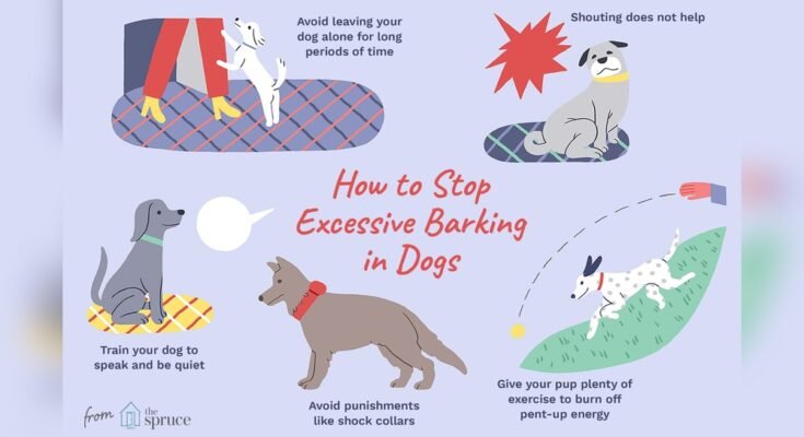 Why Does My Dog Bark So Much