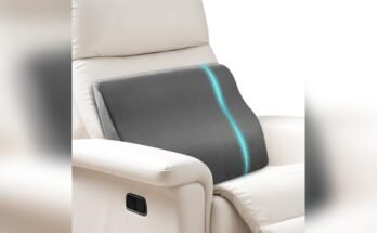 Best Sofa for Back Support