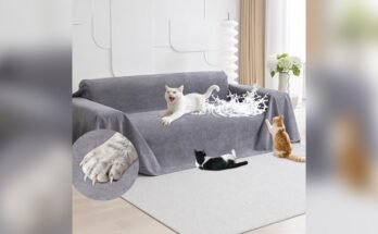 Best Sofa for Cat Owners
