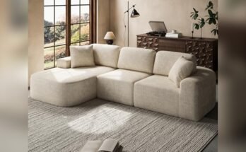 Best Sofa for Modern Living Room