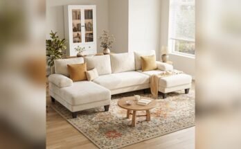 Best Sofa for the Money