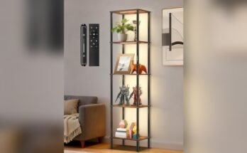 Best Affordable Display Cabinet
