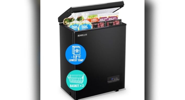 Best Affordable Freezer Display Cabinet