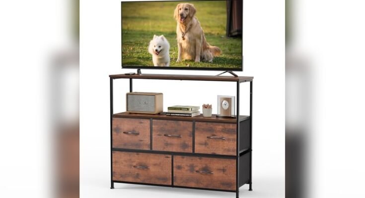 Best Affordable Tv Stand