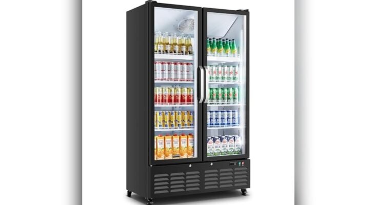 Best Commercial Freezer Display Cabinet