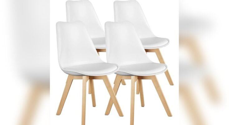 Best Contemporary Dining Chairs Design