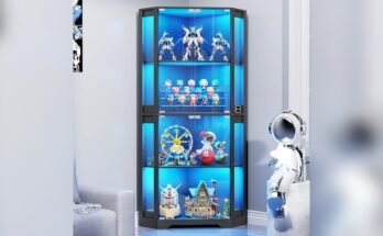 Best Corner Display Cabinet