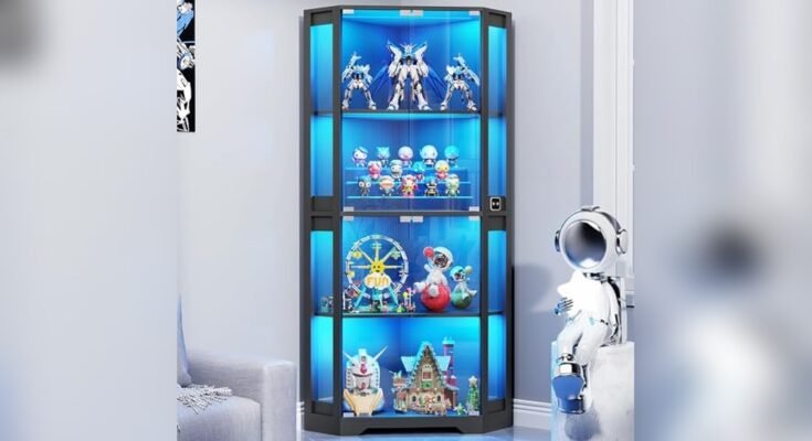 Best Corner Display Cabinet