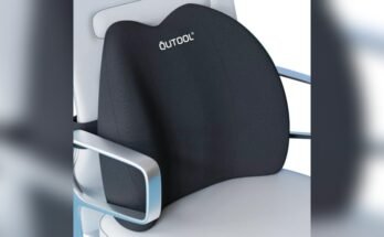 Best Dining Chairs for Back Support