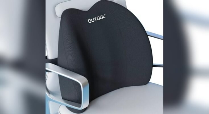 Best Dining Chairs for Back Support