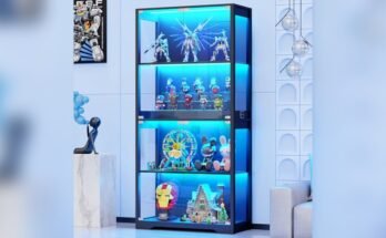 Best Display Cabinet for Figurines