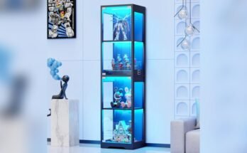 Best Display Cabinet for Home Decor