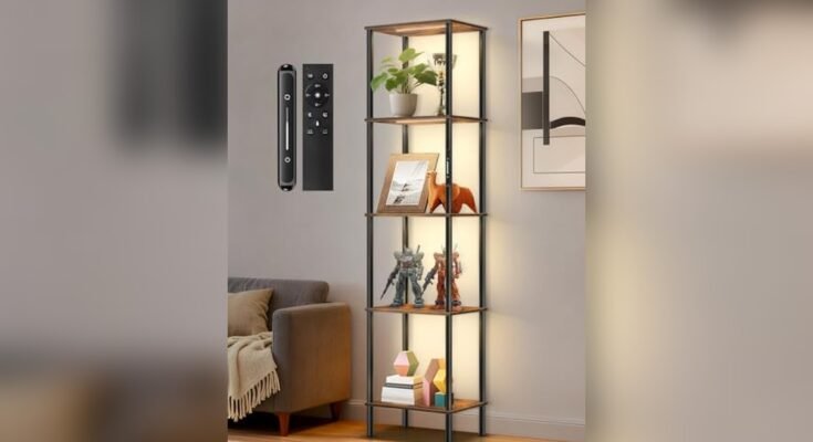 Best Display Cabinet under Budget