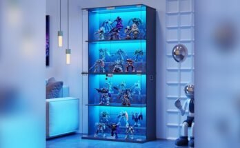 Best Display Cabinet With Lock