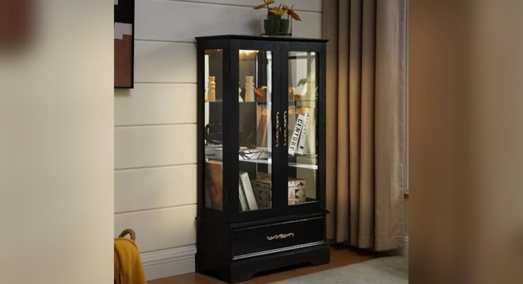 Best Display Cabinet With Mirrored Back
