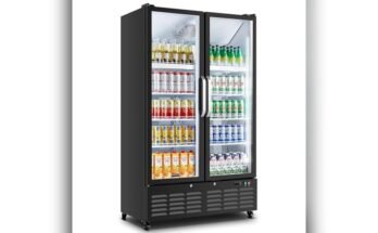 Best Double Door Freezer Display Cabinet