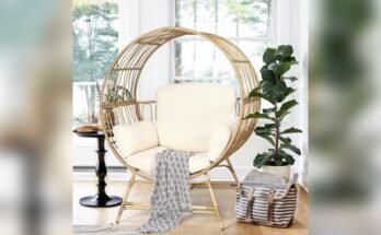 Best Egg Chair for Living Room