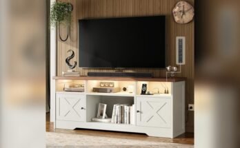 Best Farmhouse Tv Stand under Budget