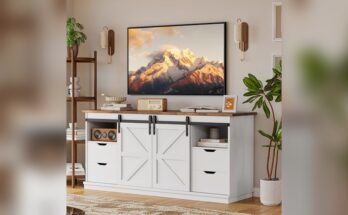 Best Farmhouse Tv Stand With Storage