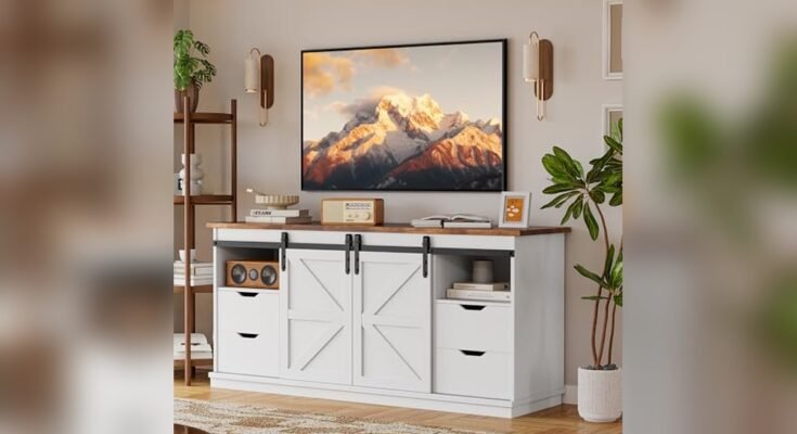 Best Farmhouse Tv Stand With Storage