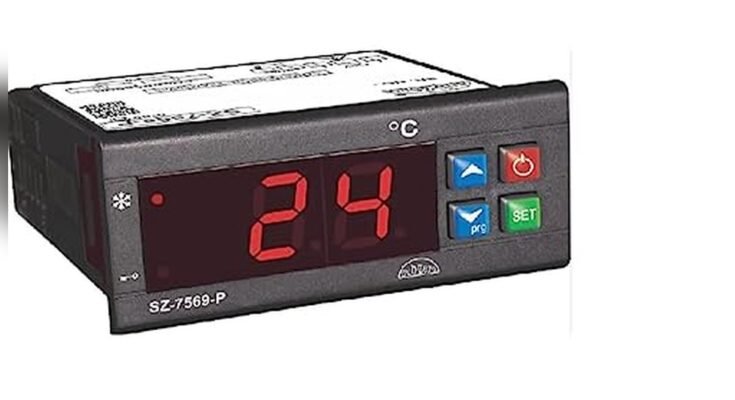 Best Freezer Display Cabinet