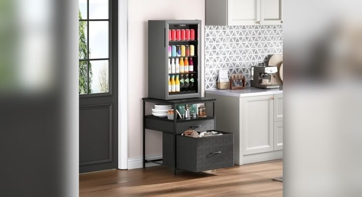 Best Freezer Display Cabinet for Beverages