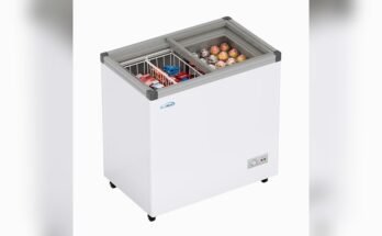 Best Freezer Display Cabinet for Shops
