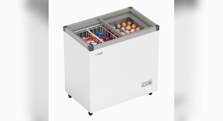 Best Freezer Display Cabinet for Small Business