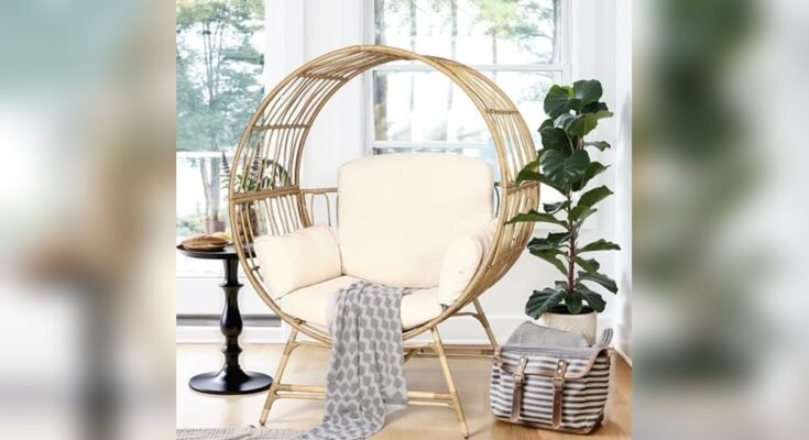 Best Indoor Egg Chair for Reading Nook