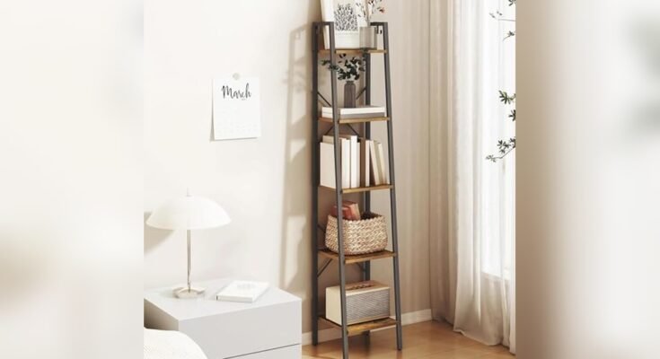 Best Ladder Bookcase
