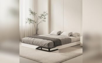 Best Low Profile Bed Frame