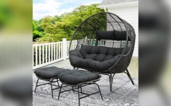 Best Luxury Egg Chair for Home