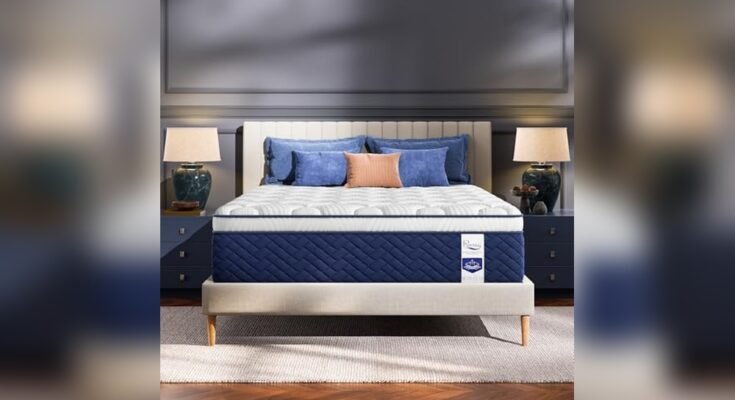 Best Mattress for Back Sleepers