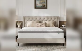 Best Mattress for Combination Sleepers