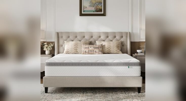 Best Mattress for Combination Sleepers