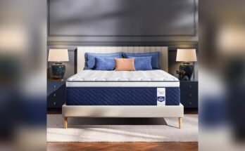 Best Mattress for Spinal Alignment