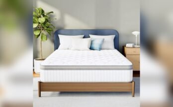Best Mattress for Stomach Sleepers