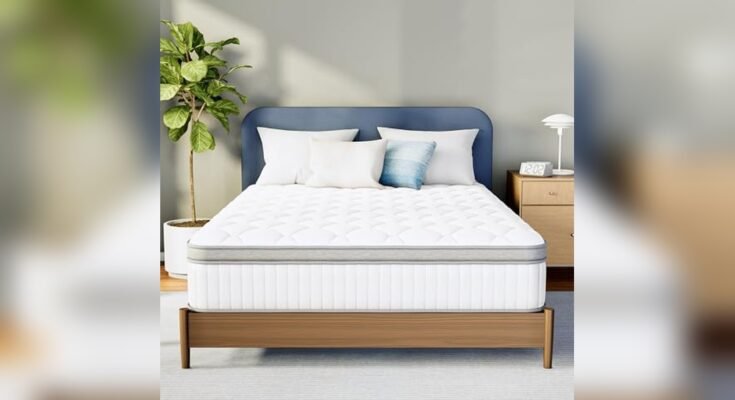 Best Mattress for Stomach Sleepers