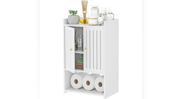 Best Medicine Cabinet under $100