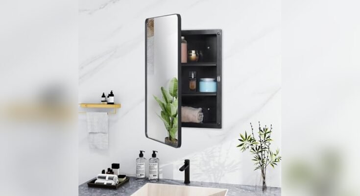 Best Medicine Cabinet With Locking Door