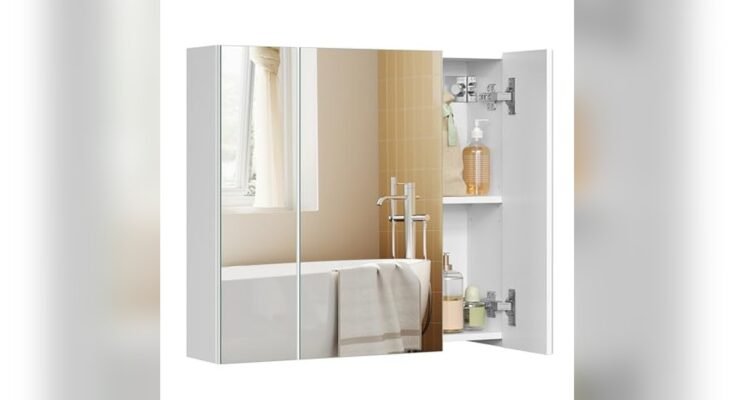 Best Medicine Cabinet With Mirror