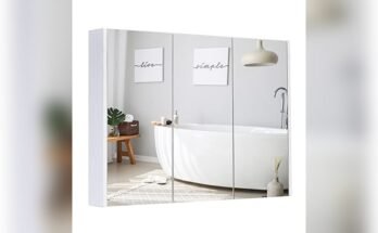 Best Medicine Cabinet With Mirrored Doors