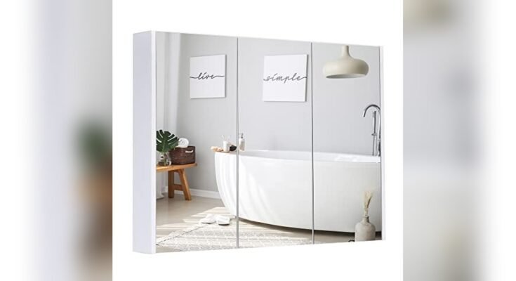 Best Medicine Cabinet With Mirrored Doors