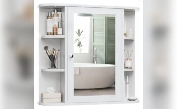 Best Medicine Cabinet With Shelves