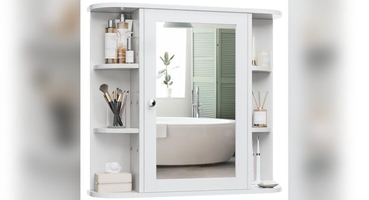 Best Medicine Cabinet With Shelves