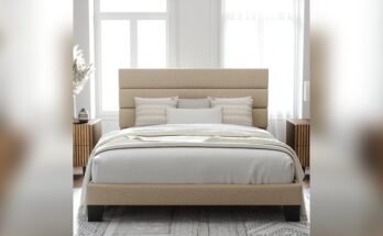 Best Modern Bed Frame