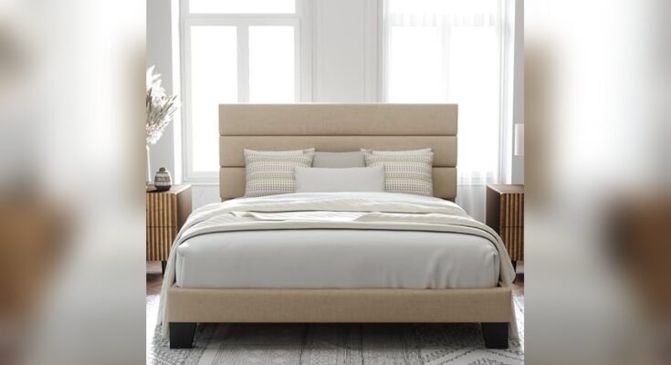 Best Modern Bed Frame