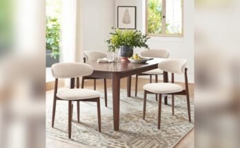 Best Modern Dining Chairs for Home