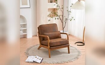 Best Modern Lounge Chair for Home