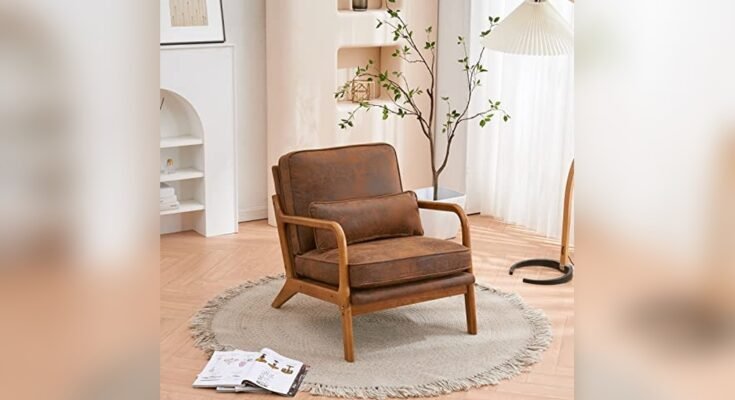 Best Modern Lounge Chair for Home